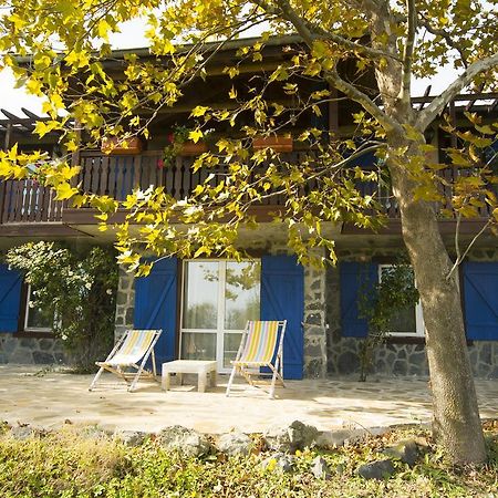 Art Provence House Lozenets Exterior foto